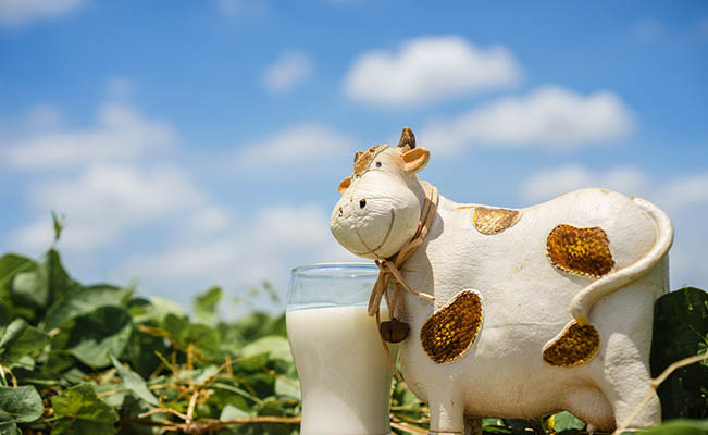 การแพ้โปรตีนนมวัว เกิดจากอะไร