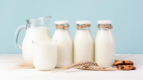 milk-and-dairy-pregnancy