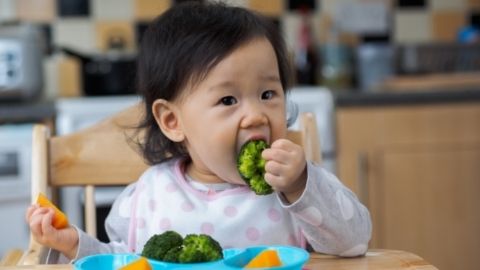 เคล็ดลับฝึกลูกวัยเตาะแตะกินผักผลไม้