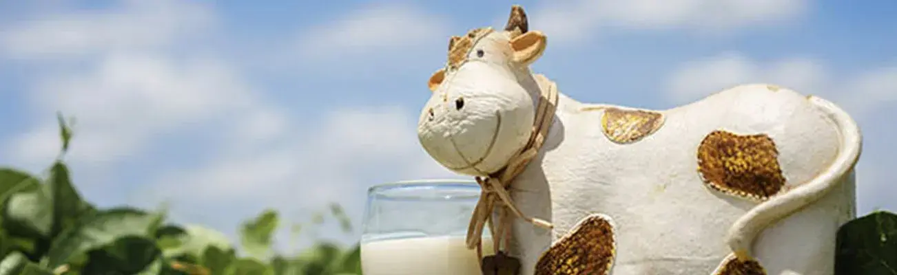การแพ้โปรตีนนมวัว เกิดจากอะไร