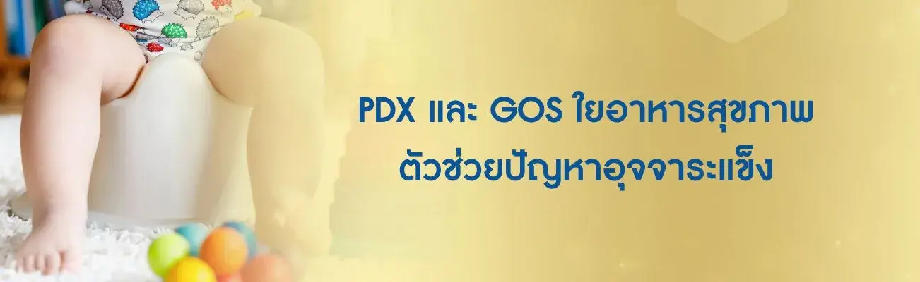 PDX และ GOS คืออะไร? ใยอาหารที่พบในนมแม่